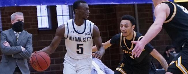 Montana State Bobcats men's basketball