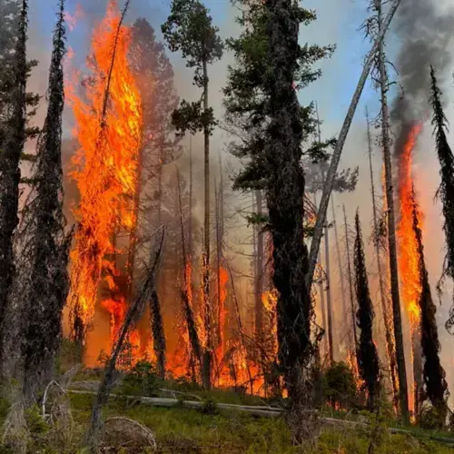 Seeley Lake Residents Invited to Workshop on Home Wildfire Prep