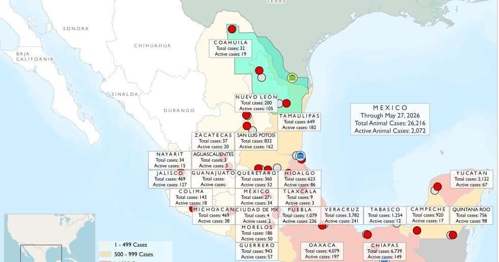 New World screwworm threat continues as USDA, Texas tries to stop it Mateo Rosiles USA Today Network Jun 3, 2026 7 hrs ago