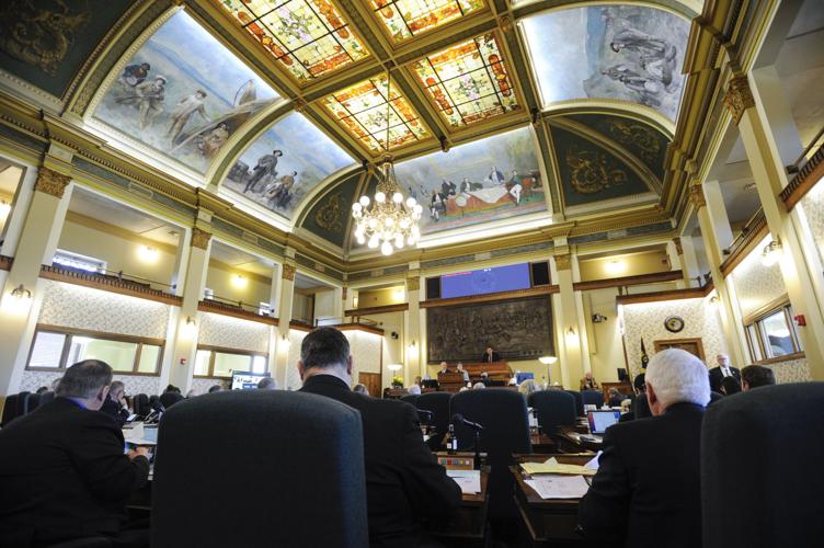 The Montana State Senate (copy)