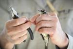 MAPS Bird Banding at Spring Meadow