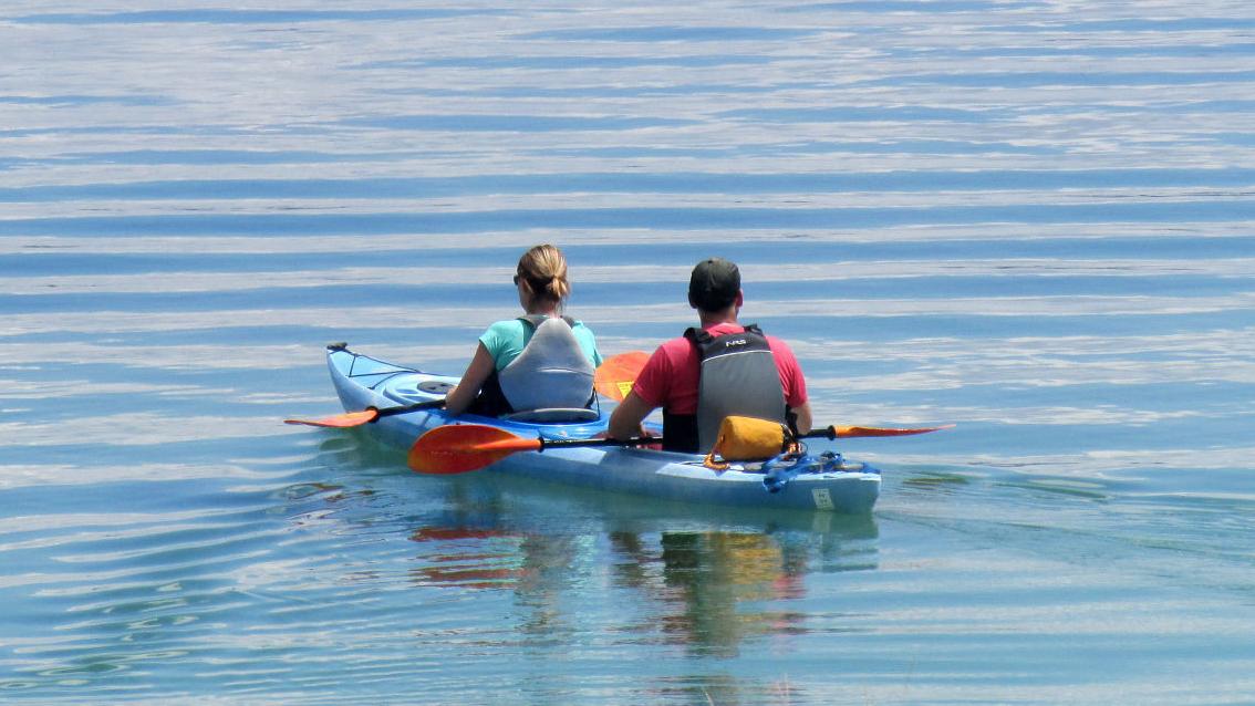 Indiana man sentenced for drunken Yellowstone altercation - Vimarsana News