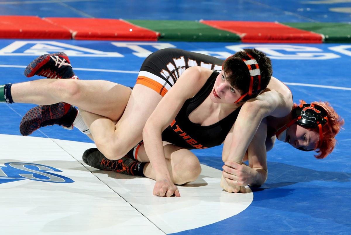 State wrestling tournament