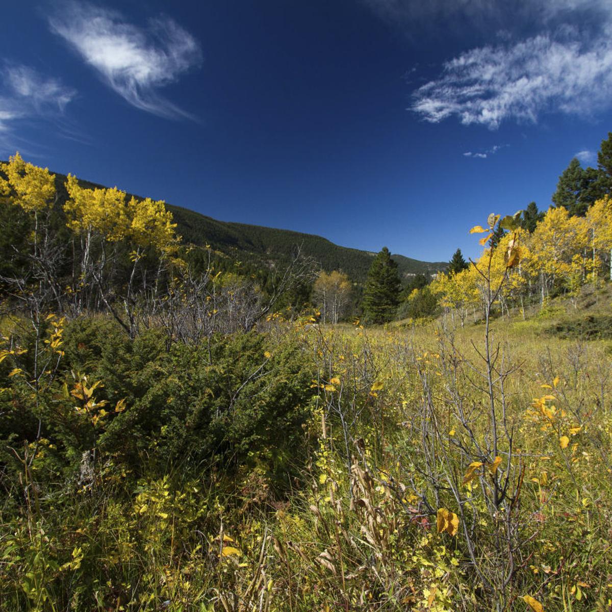 Fight Moves To Funding On Land And Water Conservation Fund