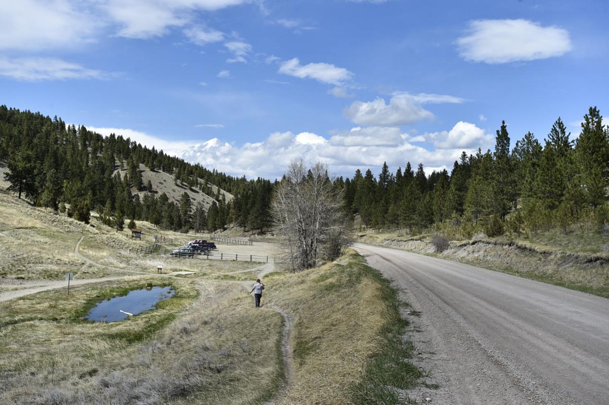 Davis Gulch in Helena's South Hills on Tuesday afternoon.