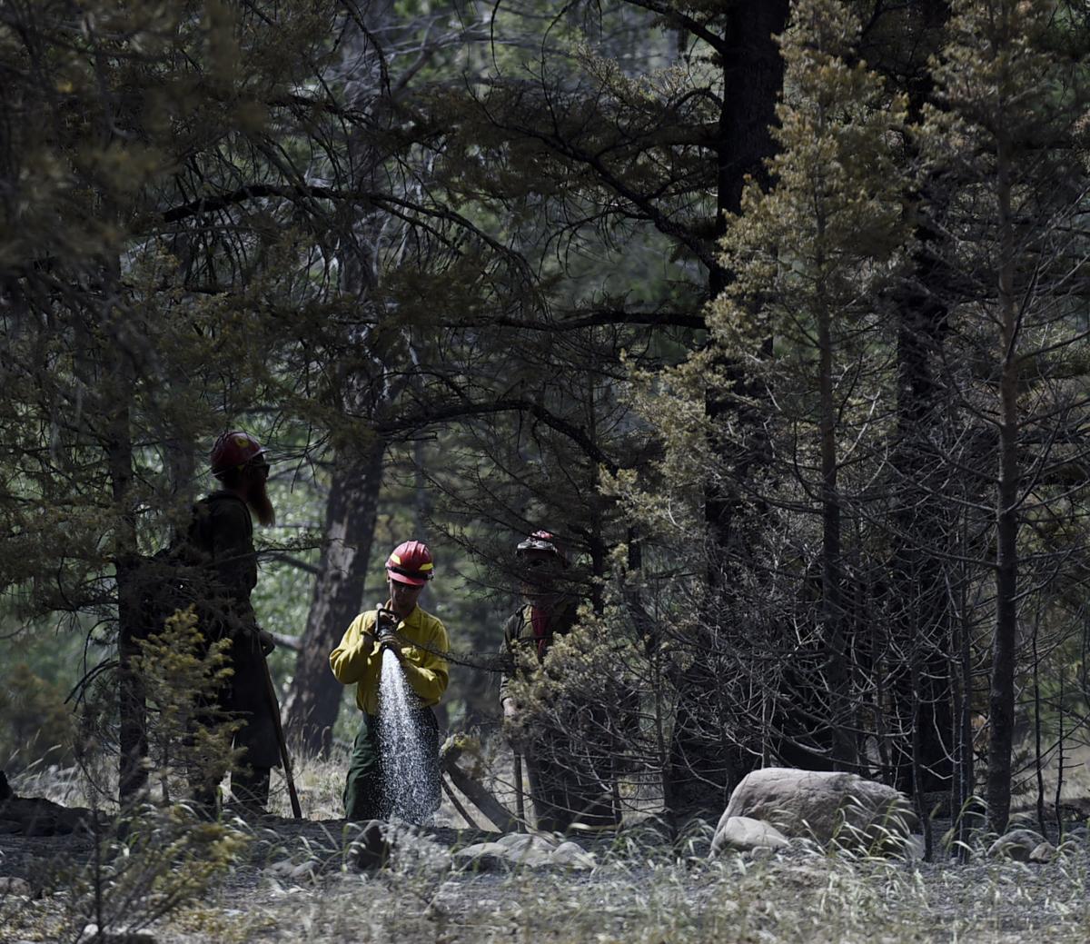 Lincoln-area wildfire evacuation order lifted | Natural Resources News