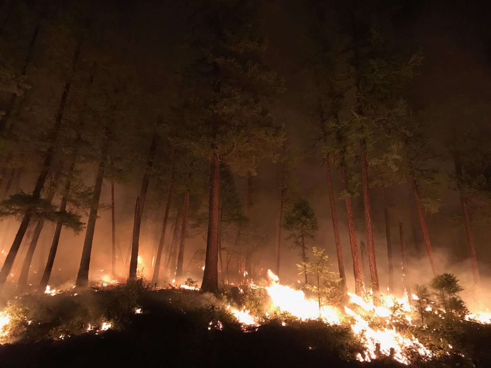 these montana wildfire photos from inciweb put you on the fire line montana fire incident report