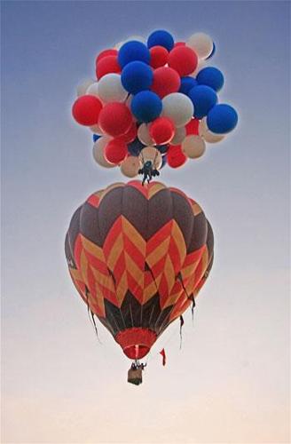 Balloon Fly Hilara Sp Stock Photo 440073406