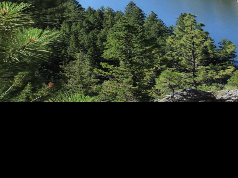 Great Falls Teen Dies While Cliff Jumping Near Helena Local