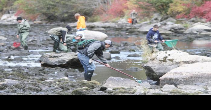 Students Help Rescue Fish During Dam Repairs State And Regional Helenair Com