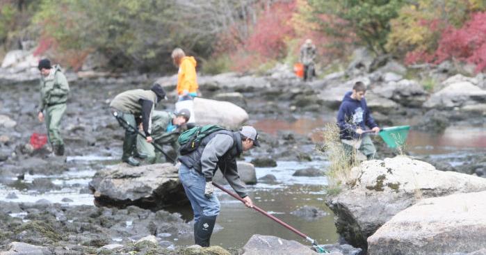 Students Help Rescue Fish During Dam Repairs State And Regional Helenair Com Students Help Rescue Fish During Dam Repairs State And Regional Helenair Com
