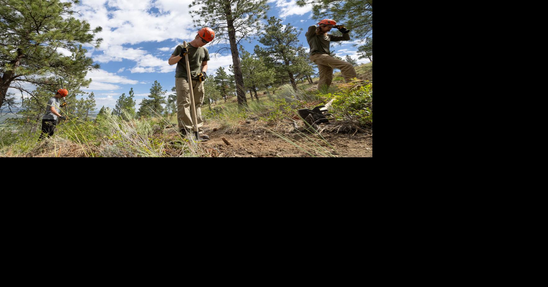 Helena at work in the South Hills: New trails, forestry project and trailhead closures