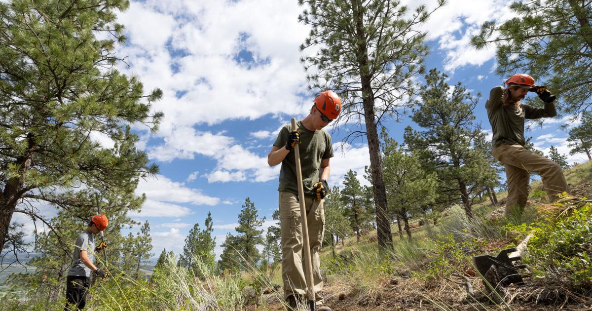 Helena at work in the South Hills: New trails, forestry project and trailhead closures
