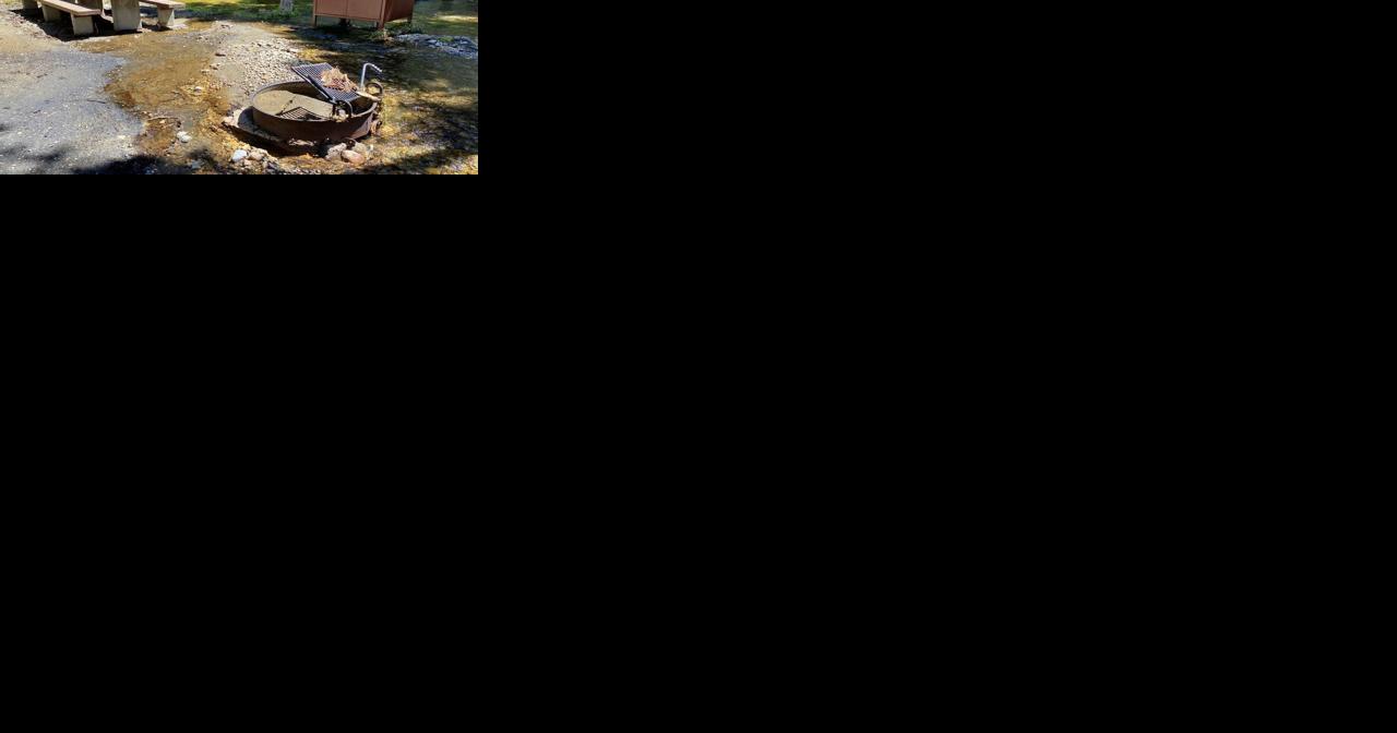 Flood damage restricts access to popular forest sites, redirecting visitors - Vimarsana News