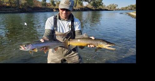 Bighorn River fisheries thriving in Wyoming and Montana - Vimarsana News