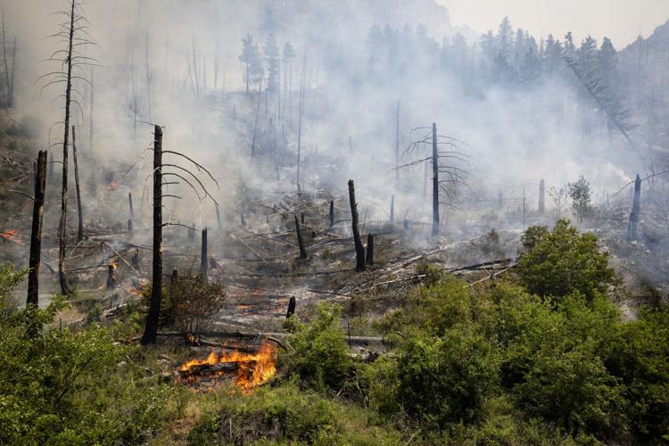 Spotting from the Horse Gulch fire