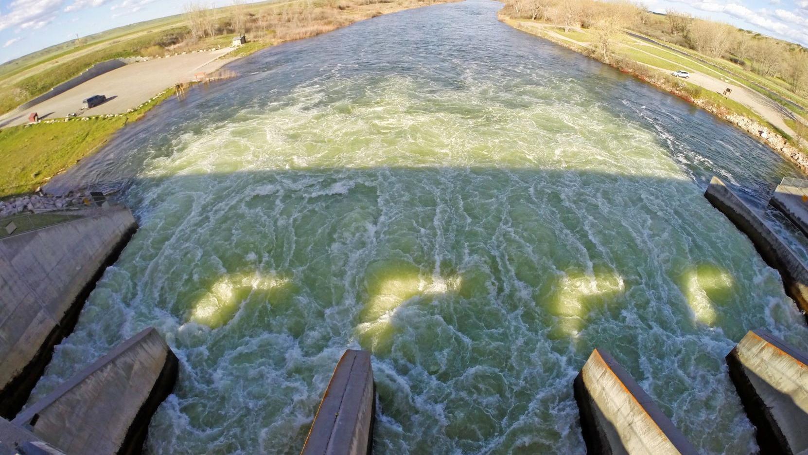 Group calls on EPA to urge a veto on bill dropping state nutrient requirements - Vimarsana News