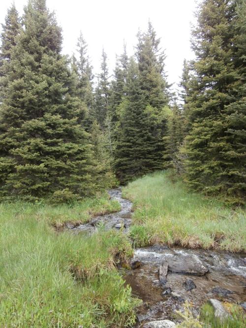south elkhorn mountains.JPG