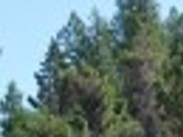 Rehberg Injured In Flathead Lake Boat Wreck Montana Politics Helenair Com