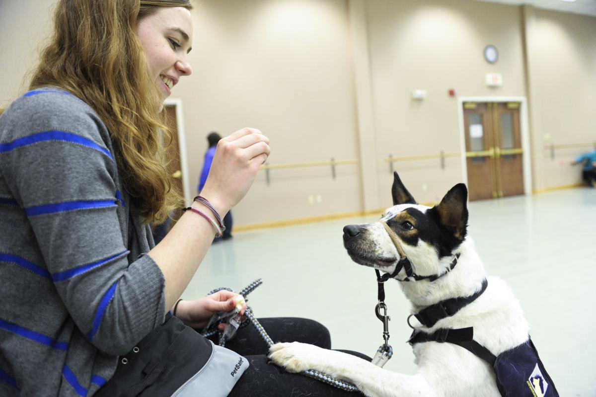 anthrozoology class at Carroll College.