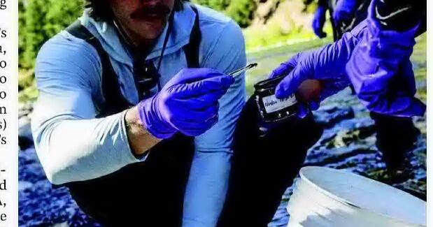 EPA searches for source of PCBs in western Montana rivers