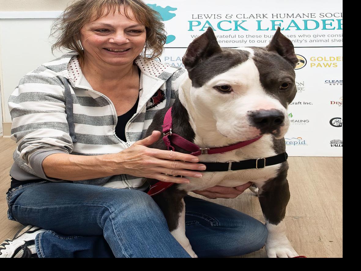 Lewis Clark Humane Society Offering New Paw Jama Overnight Dog