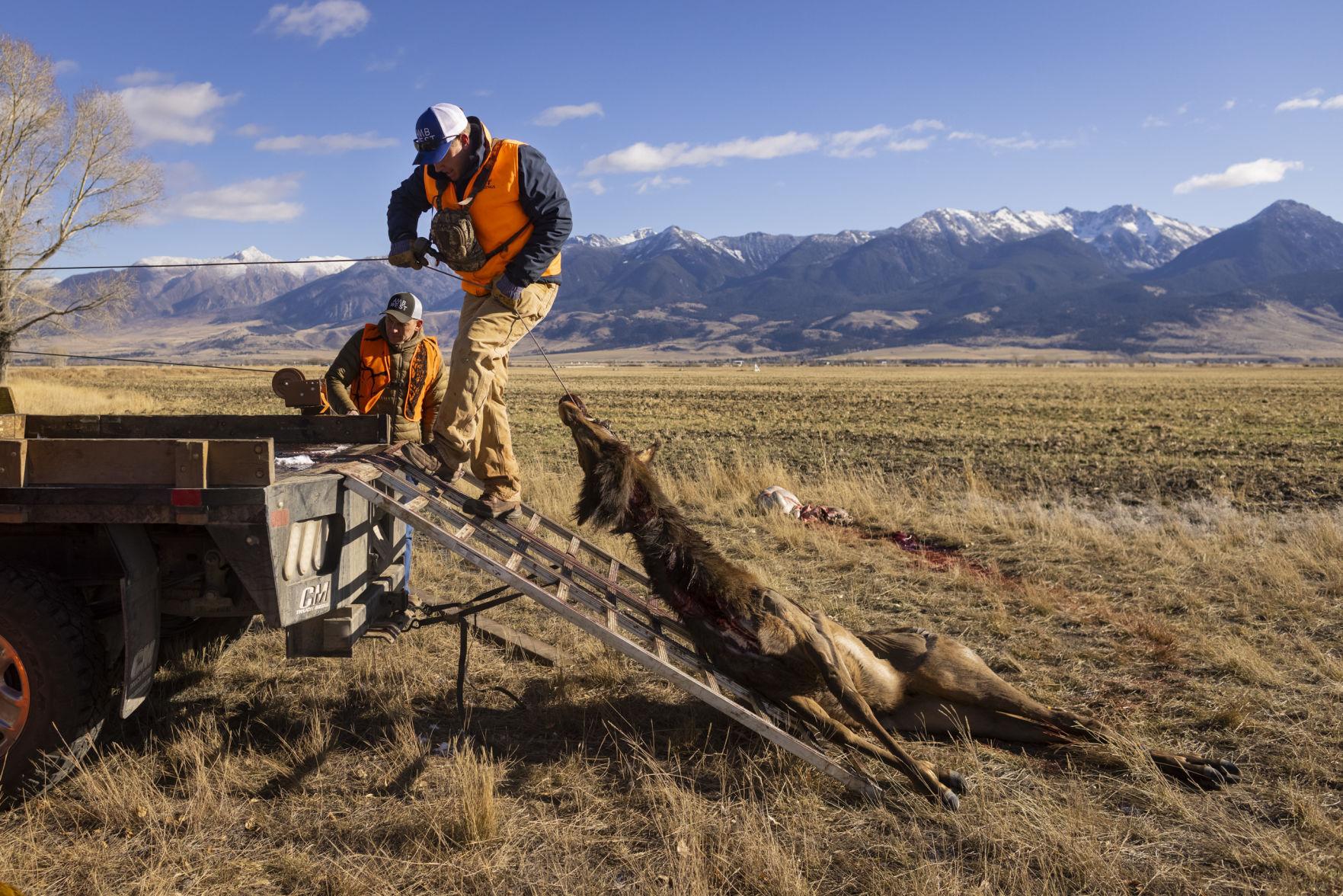 Free hunts helping Paradise Valley ranch support community, reduce elk
