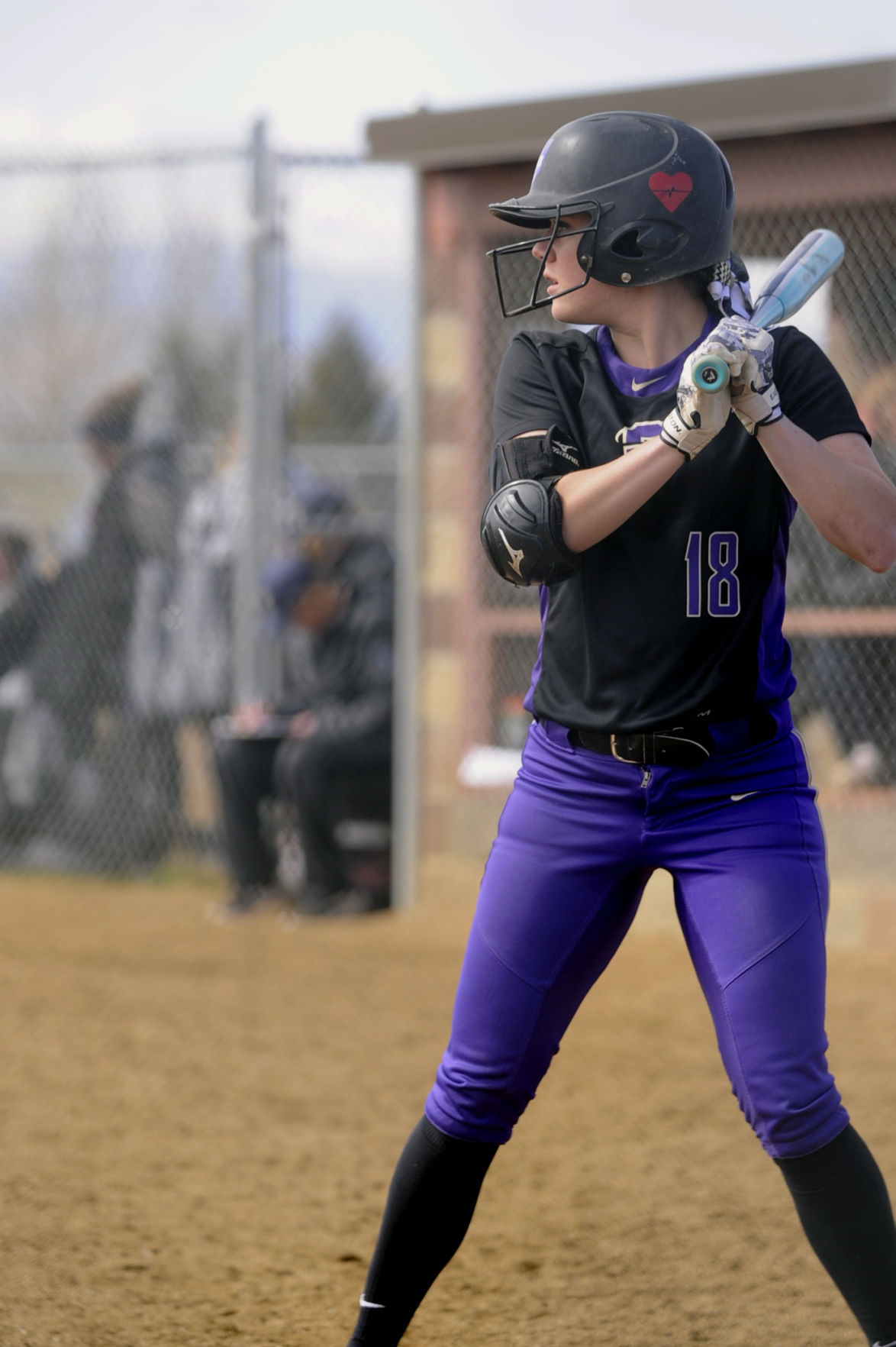 Carroll softball focuses on future after 1521 season Carroll College