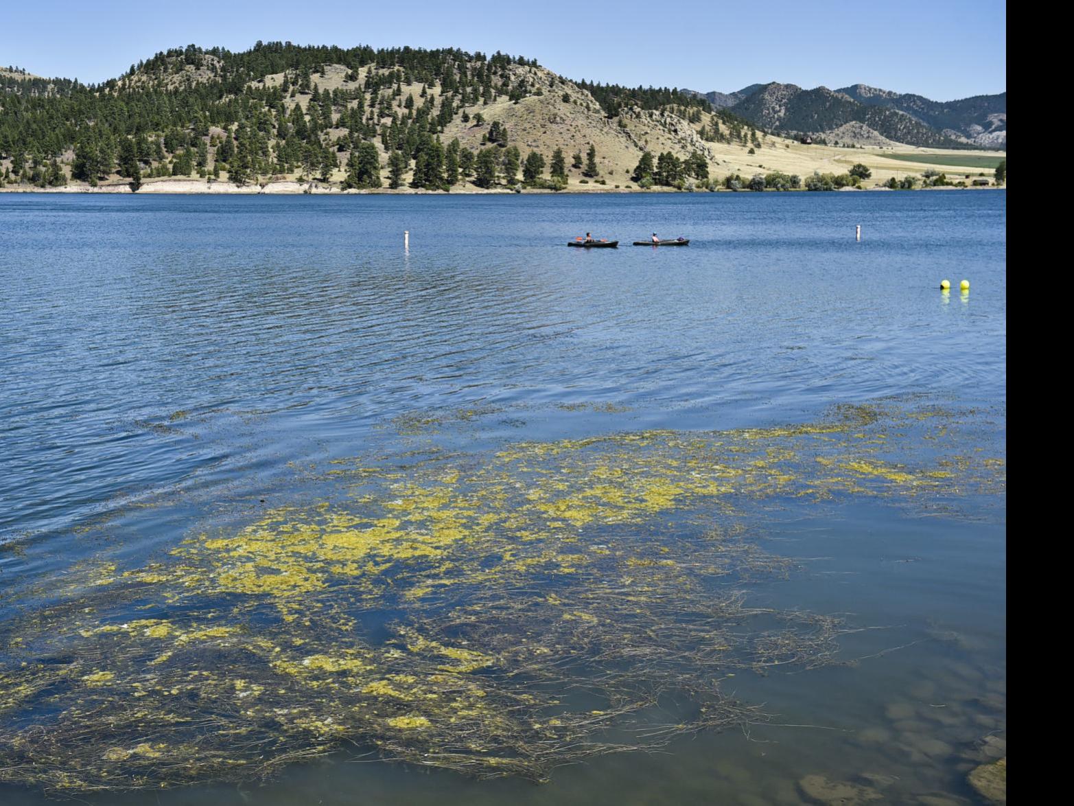 Montana Cautions About Dangers Of Blue Green Algae Montana Untamed Helenair Com