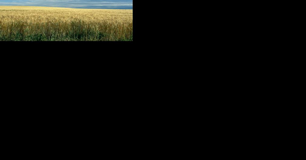 How the Inflation Reduction Act impacts agriculture in Montana - Vimarsana News