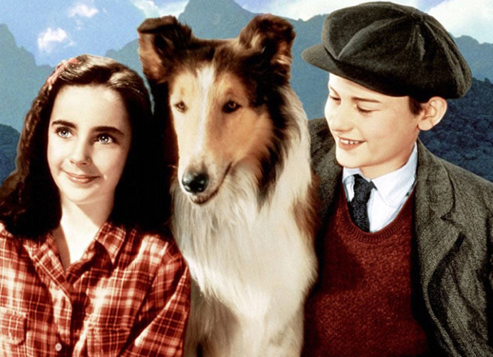 Dog Food Lessons from a Lassie Film