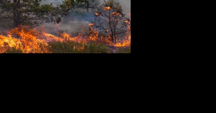 Fire reported on Rogers Pass northwest of Helena - Vimarsana News