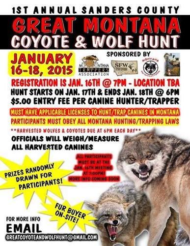 Coyote-killing contest in Arizona draws ire from groups