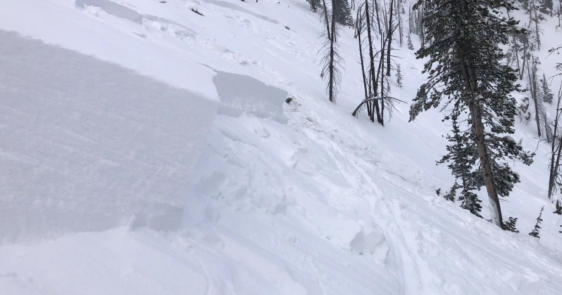 Avalanches likely Friday in western Montana ahead of weekend - Vimarsana News