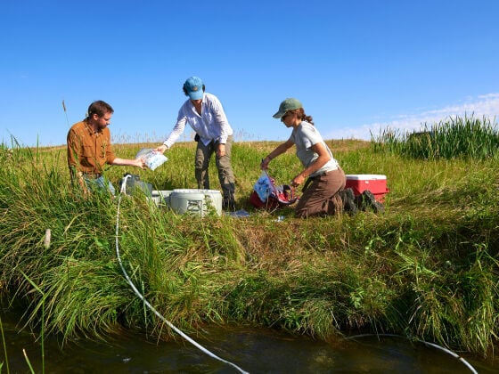 Montana State University’s annual research spending grows 7% to top $300 million for the first time