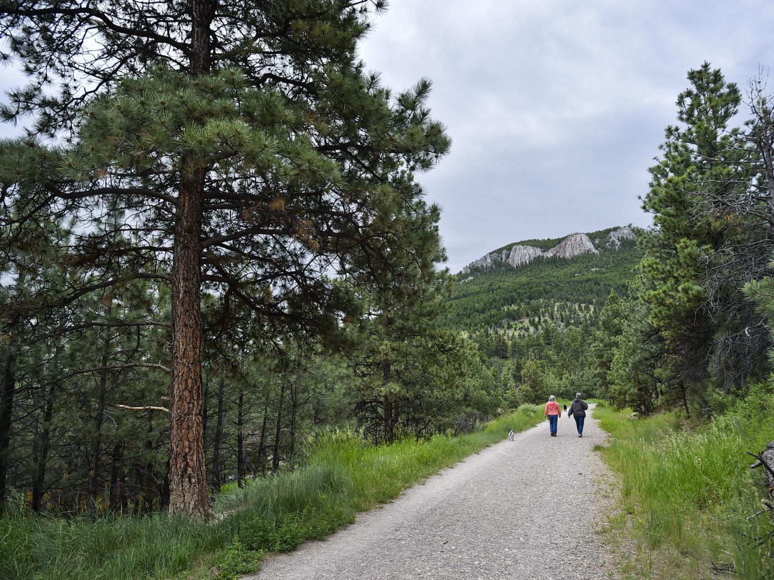 Prickly Pear Land Trust Considering Purchase Of South Hills Parcel