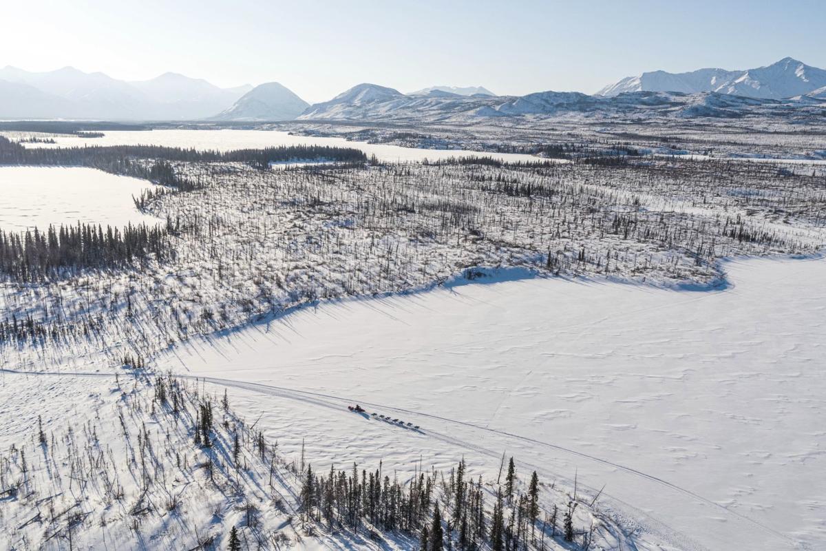 Iditarod