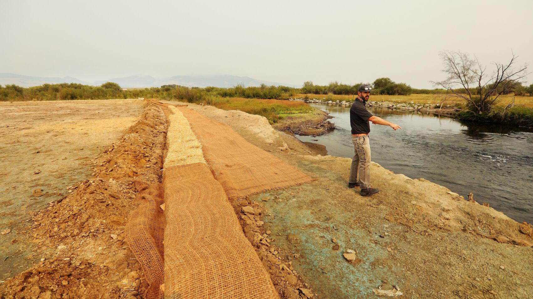 Trout numbers continue to decline; new style of banks adopted for next phase of upper Clark Fork remedy - Vimarsana News