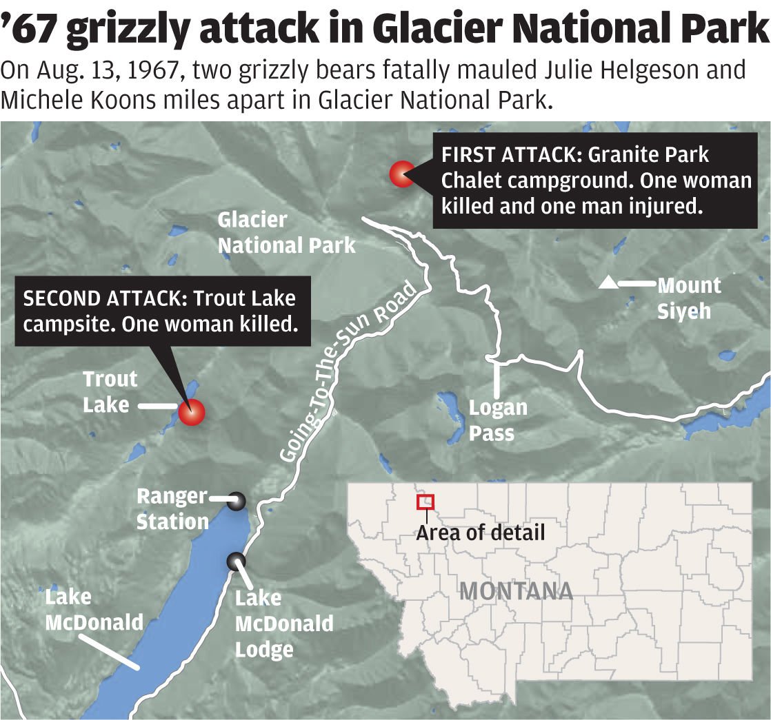 glacier park night of the grizzlies