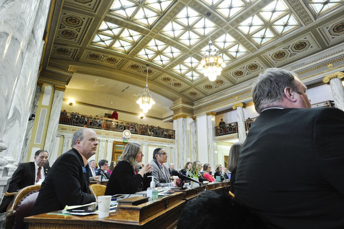Representatives listen to floor speeches during the 2019 Montana Legislature.