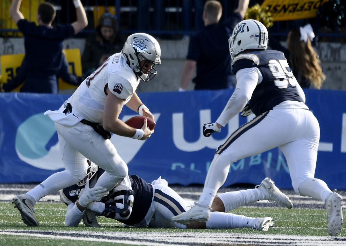 Five Former Grizzlies Six Former Bobcats Named To Nff Hampshire