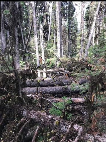 Heavy timber