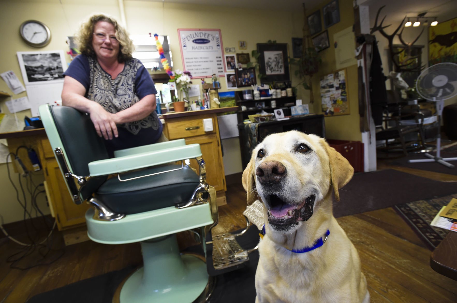 dogs in hair salons