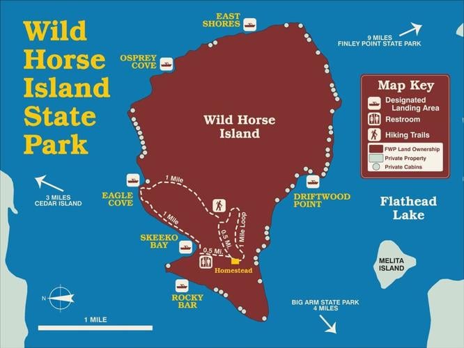 New unique codts in wild horse island｜بحث TikTok