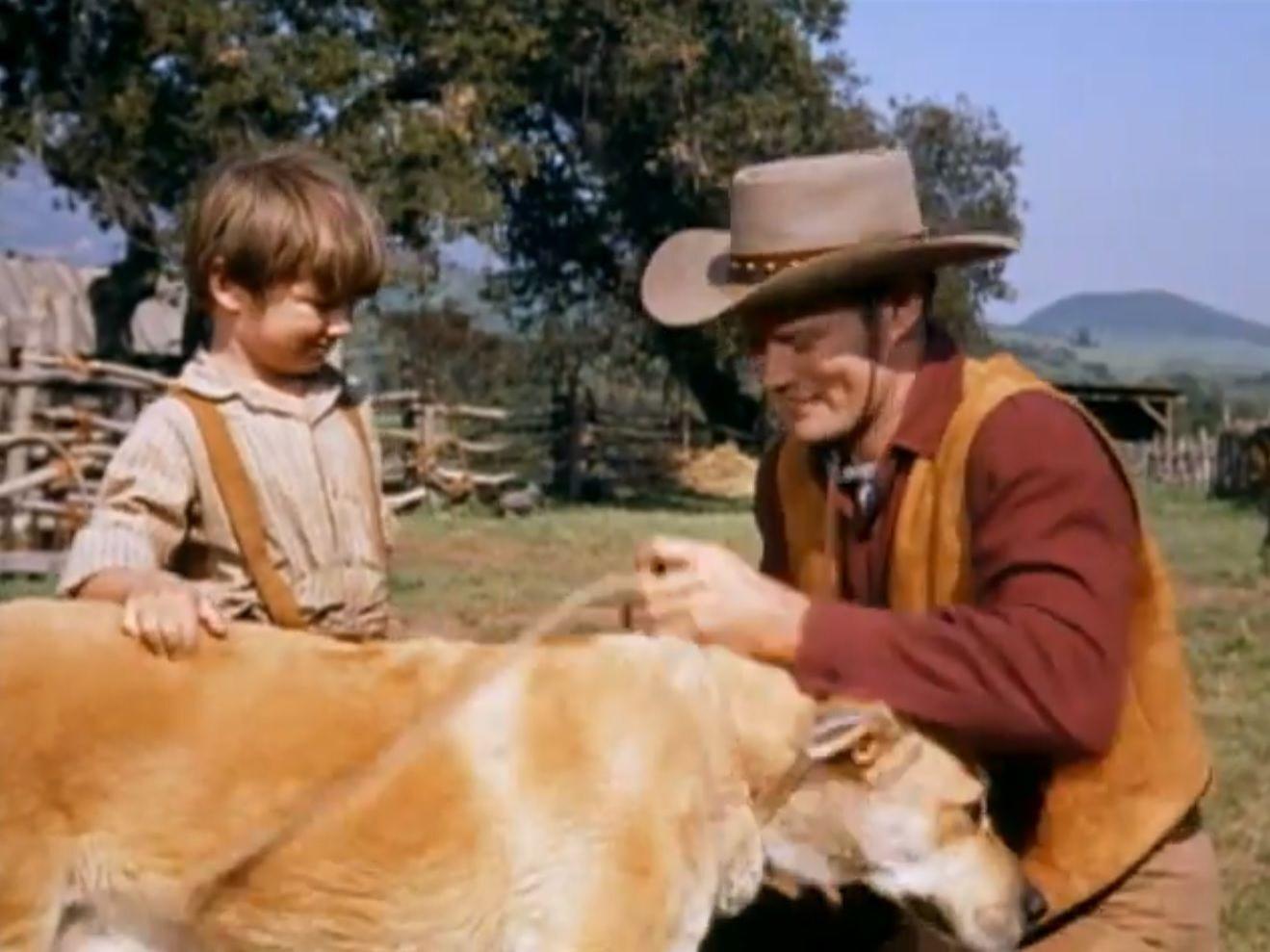 Film Review A Dog Of Flanders 1960 And Old Yeller 1957 Local Helenair Com