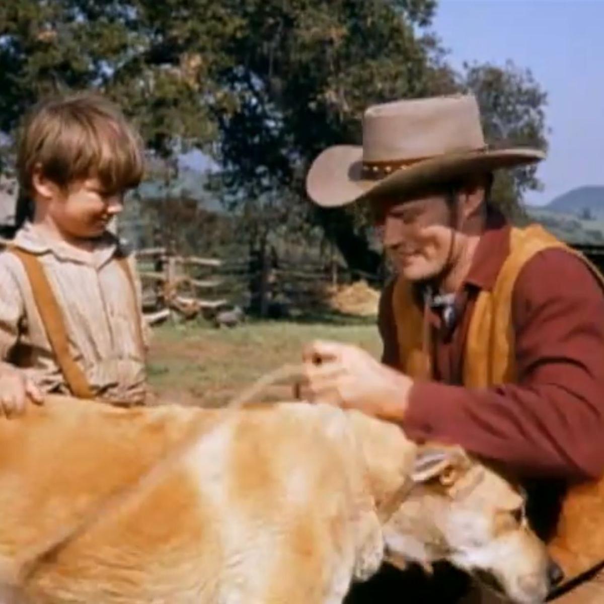 Film Review A Dog Of Flanders 1960 And Old Yeller 1957 Local Helenair Com Film Review A Dog Of Flanders 1960 And Old Yeller 1957 Local Helenair Com