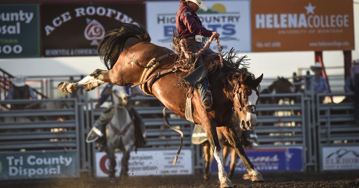 Lst Rodeo Photos: Rodeo action from the Last Chance Stampede