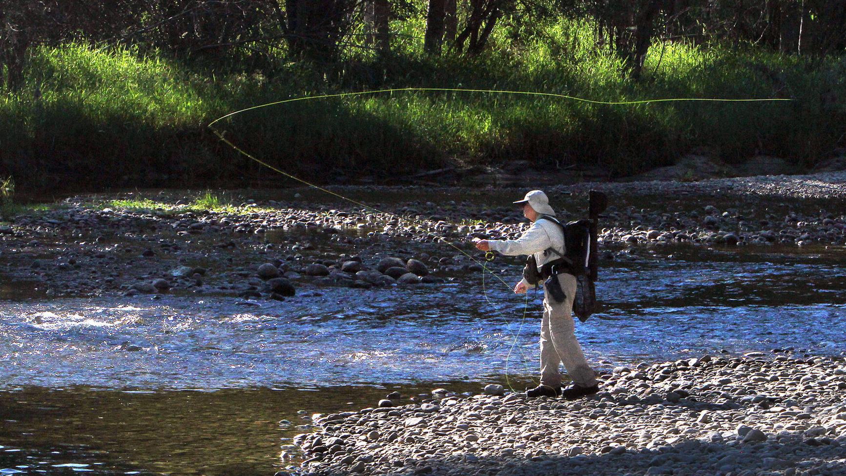 Missouri River fishing businesses say they will weather hoot-owl storm - Vimarsana News