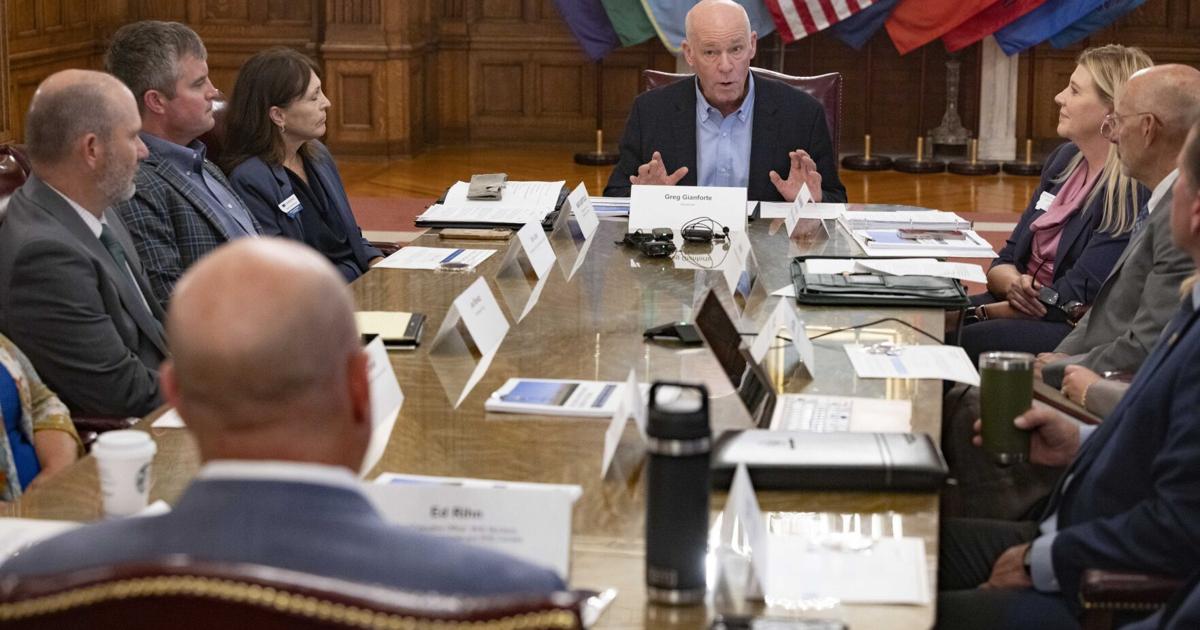 Unleashing American-Made Energy Task Force