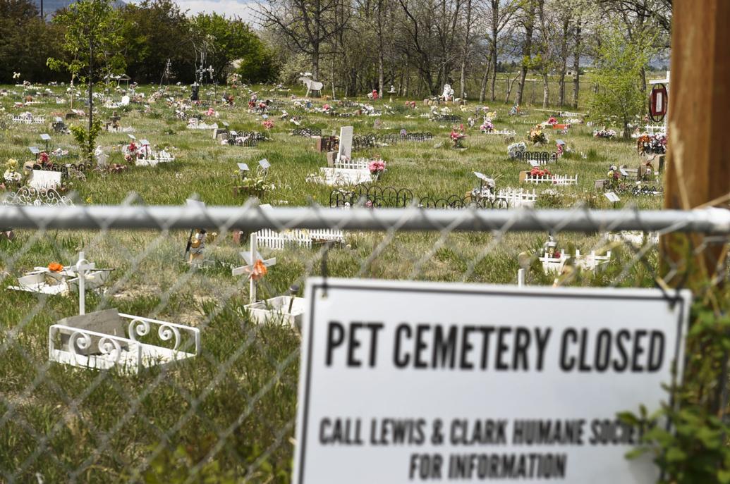Call for change Volunteers at pet cemetery ask city for control of
